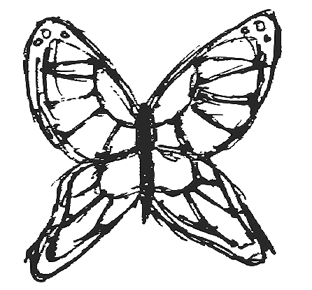 butterfly
